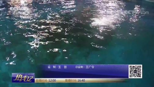 热线12 《热线12》 20190201