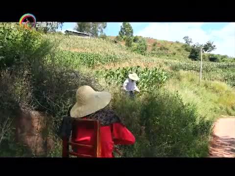 情暖人间 《情暖人间》 20151214