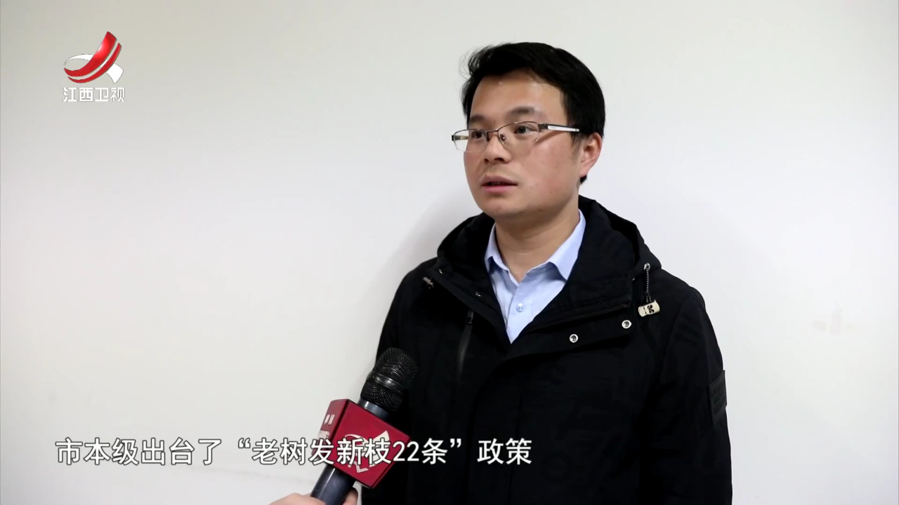 社会传真 产业攀“高”图强 激发强劲动能