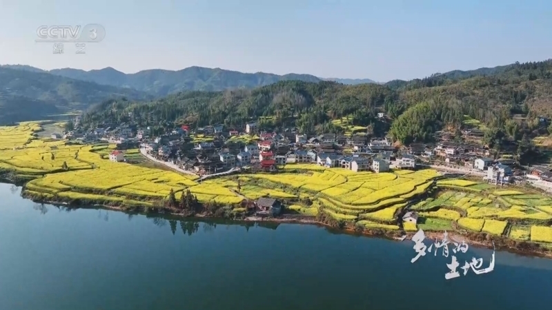 《2024多情的土地》 20240404