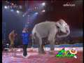 国际艺苑 欢乐秀场 动物狂欢节 2009-05-01