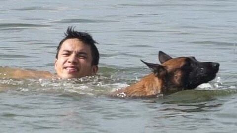90后的秀 酷炫！宠物犬勇救落水男子
