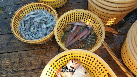 南澳岛赶海日记 广东潮汕土豪男子，花一万多包大渔船深海捕鱼，一网下去就赚到了
