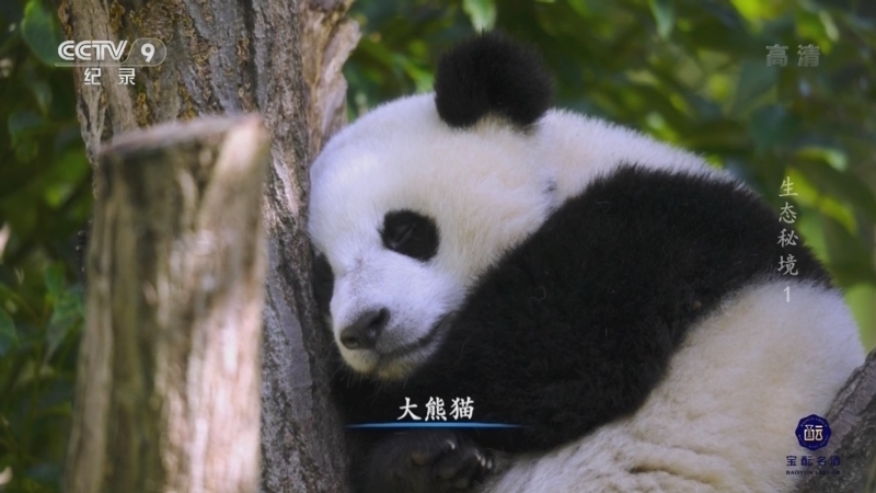 《生态秘境》 第1集 天造地设