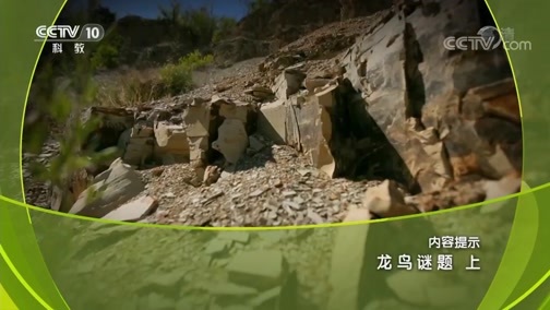 地理中国 《地理中国》 20181214 龙鸟谜题（上）