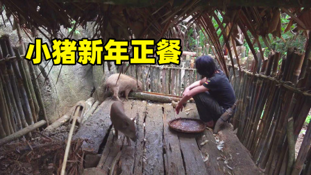 原始丛林人苏门答腊 第二季 东南亚丛林生存挑战，过年了，给小猪准备了一顿新年餐