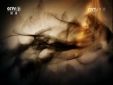 生财有道 《生财有道》 20161010 生态中国系列（沿海行）——志在海洋生财的于志洋