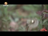 好人在身边 《好人在身边》 20160117 益润陇原——甘肃农业大学“益润陇原”公益团队