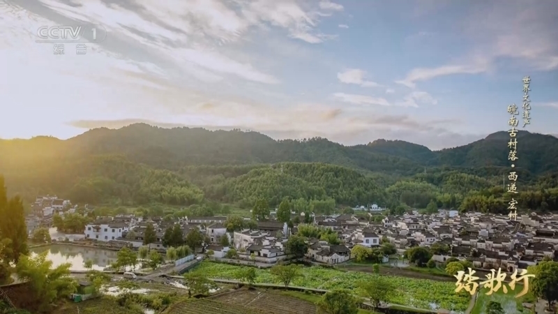 《踏歌行》 20250809 世界文化遗产 皖南古村落·西递 宏村