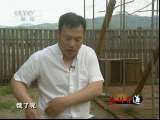 生财有道 《生财有道》 20110604 带来意外财富的松鼠