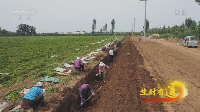 生财有道 《生财有道》 20221104 咱们家乡有特产——铁棍山药松花蛋 荒山也能变果园