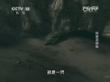 地理中国 《地理中国》 20140628 凤凰洞探秘