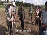 我爱发明 《我爱发明》 20160920 除草狼牙棒