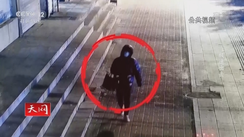 天网 《天网》 20221223 极速出击