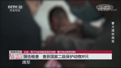 热线12 《热线12》 20200807