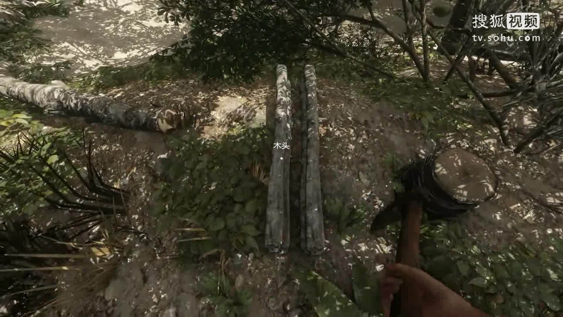 【炫罗】荒岛求生EP6 造房子咯