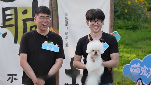萌宠来啦之潦草小狗变形记 宠物美发师分享美容小技巧
