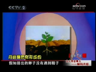 健康之路 解码月经