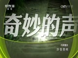 地理中国 《地理中国》 20170625 妙音悬梯