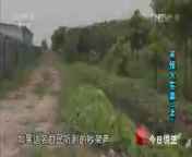 今日说法 《今日说法》 20140910 半张火车票（上）