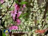 新闻联播 《新闻联播》 20180318 21:00