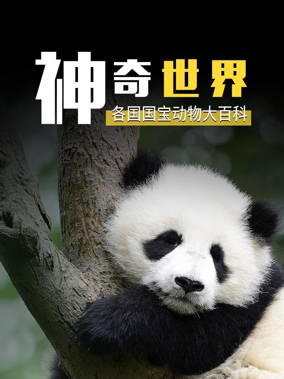 神奇世界：各国国宝动物大百科