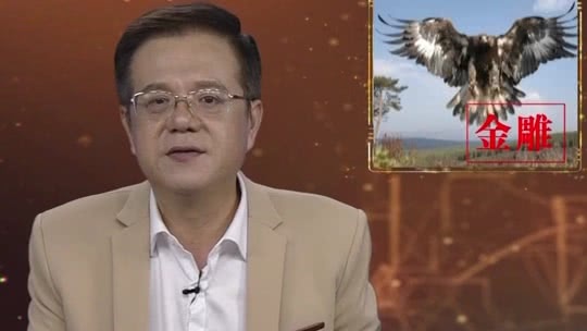 经典传奇 奇闻怪事 愤怒的神雕