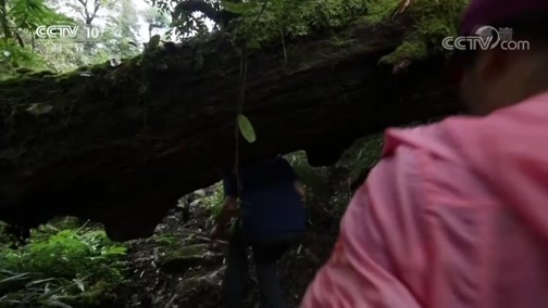 地理中国 《地理中国》 20181009 解密大脚印（上）