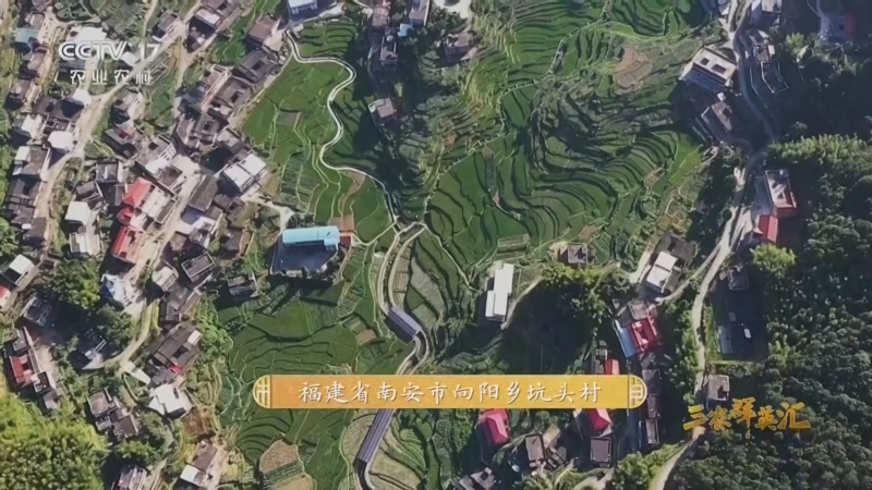 三农群英汇 《三农群英汇》 20260807 田边古厝焕新记