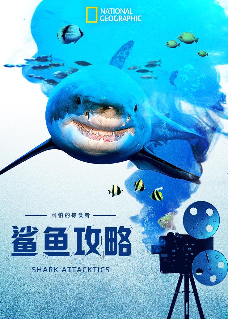 鲨鱼攻略