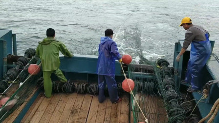 南澳岛赶海日记 价值几百万的渔船这样捕鱼，每网上来都是过百斤海鲜，这才是捕鱼