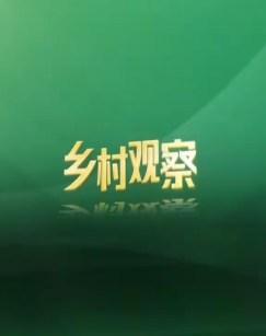乡村观察