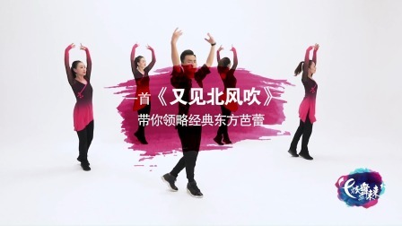 又见北风吹-饶子龙 （导视）