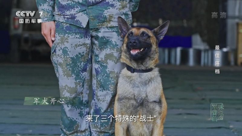 《军营的味道》 20210711 最佳搭档