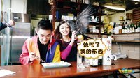 东奔悉跑 悉尼如此走心的大阪料理 11