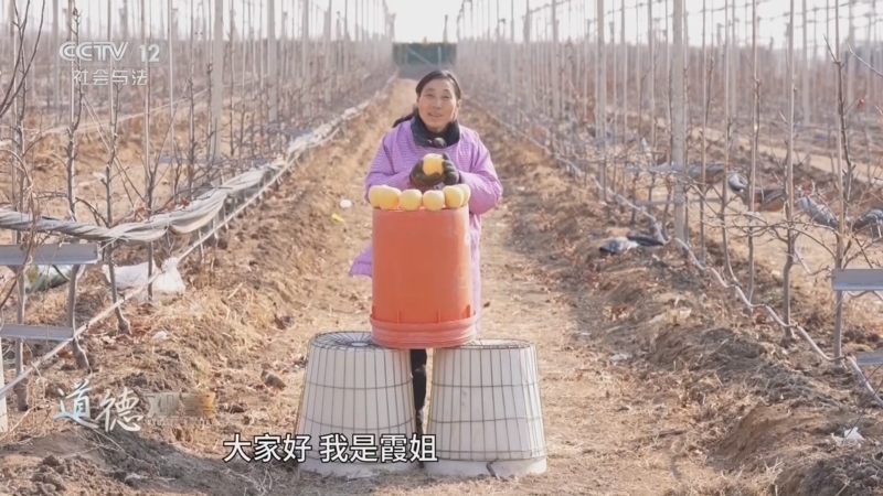 道德观察 《道德观察(日播版)》 20260202 “苹”凡之路