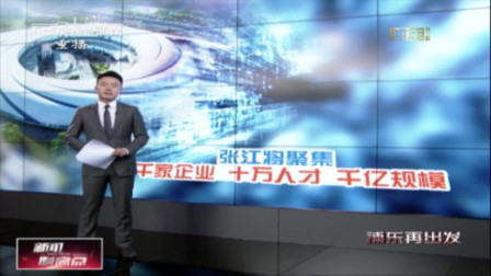 张江：未来将集聚1000家企业和10万人才
