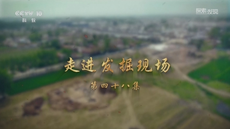 探索发现 《探索·发现》 20260524 走进发掘现场（48）