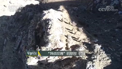 军事纪实 《军事纪实》 20190320 “特战玫瑰”的怒放（下）