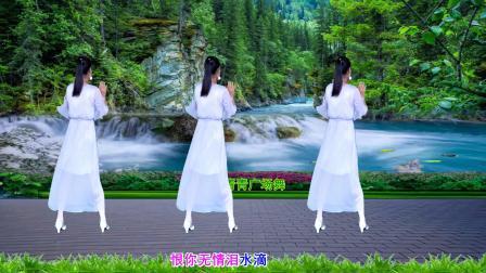 流行DJ广场舞及教学 第三季 广场舞《恨你无情泪水滴》32步背面演示