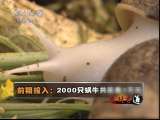 生财有道 生财有道 2010-12-20