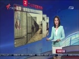 直播全球 《直播全球》 20160902