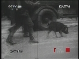 敲响战争警报 《探索·发现》 20121212 战争警报之战魔坟场