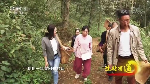 生财有道 《生财有道》 20191202 云南通海：生态山 城 湖 美味财富多