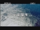 动物世界 《动物世界》 20140621 冷面猎手（上）