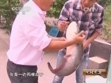 生财有道 《生财有道》 20131128 养在深山里的鱼