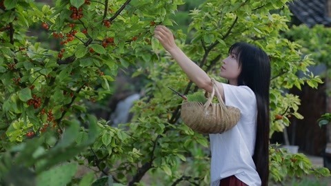 李子柒古香古食 樱桃的花样做法送给你们