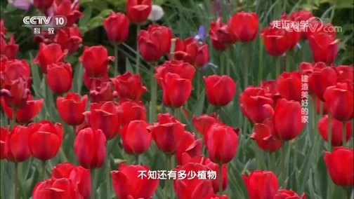 走近科学 《走近科学》 20190304 建造美好的家