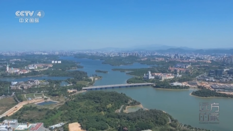 远方的家 《远方的家》 20240709 山河锦绣看中国 莞香悠悠 岭南名邑