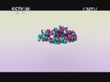 智慧树 《智慧树》 20141015